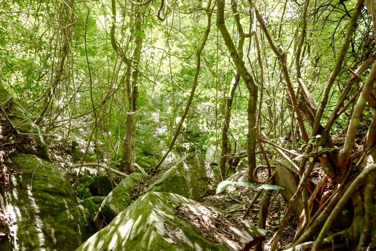 Silver Hill Ecovillage 库鲁内格勒 外观 照片