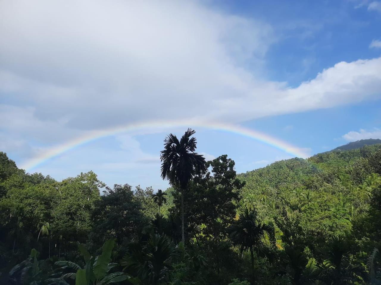 Silver Hill Ecovillage 库鲁内格勒 外观 照片