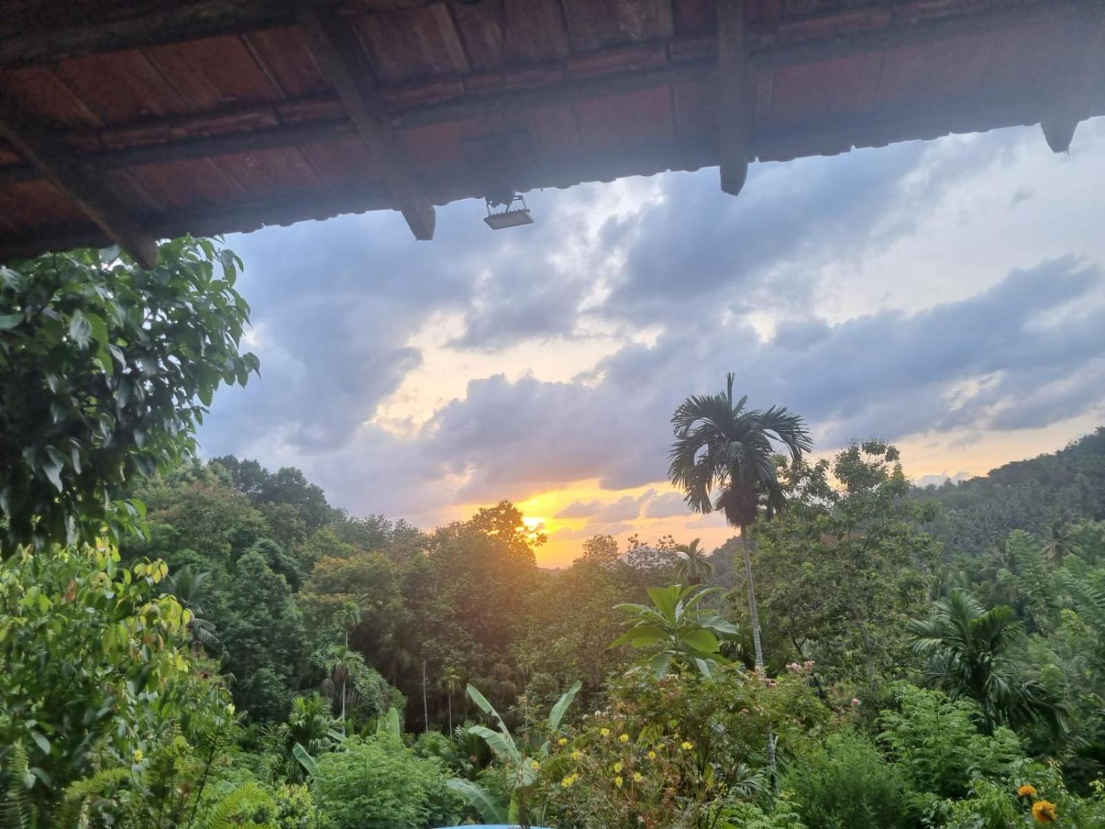 Silver Hill Ecovillage 库鲁内格勒 外观 照片