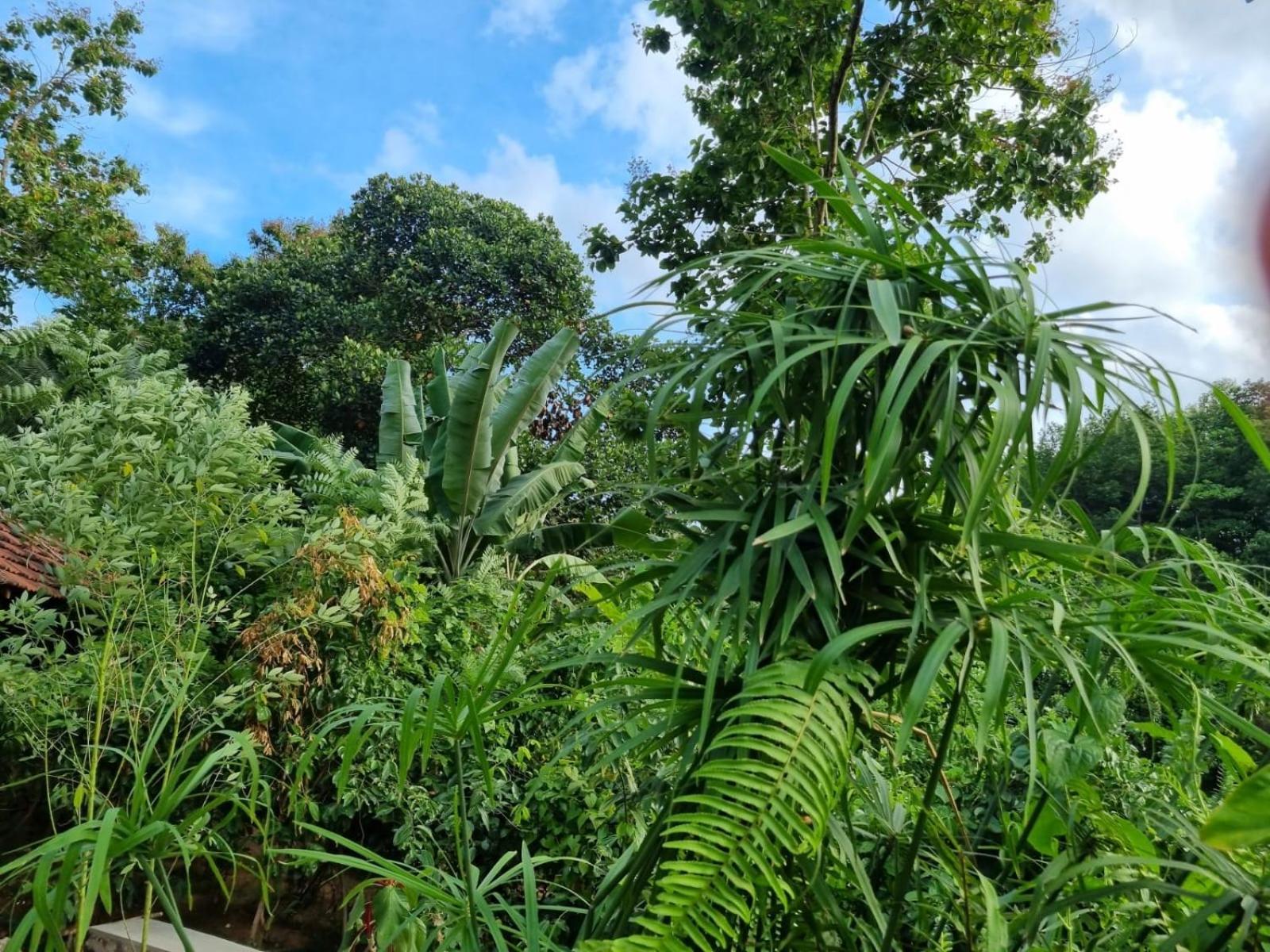 Silver Hill Ecovillage 库鲁内格勒 外观 照片