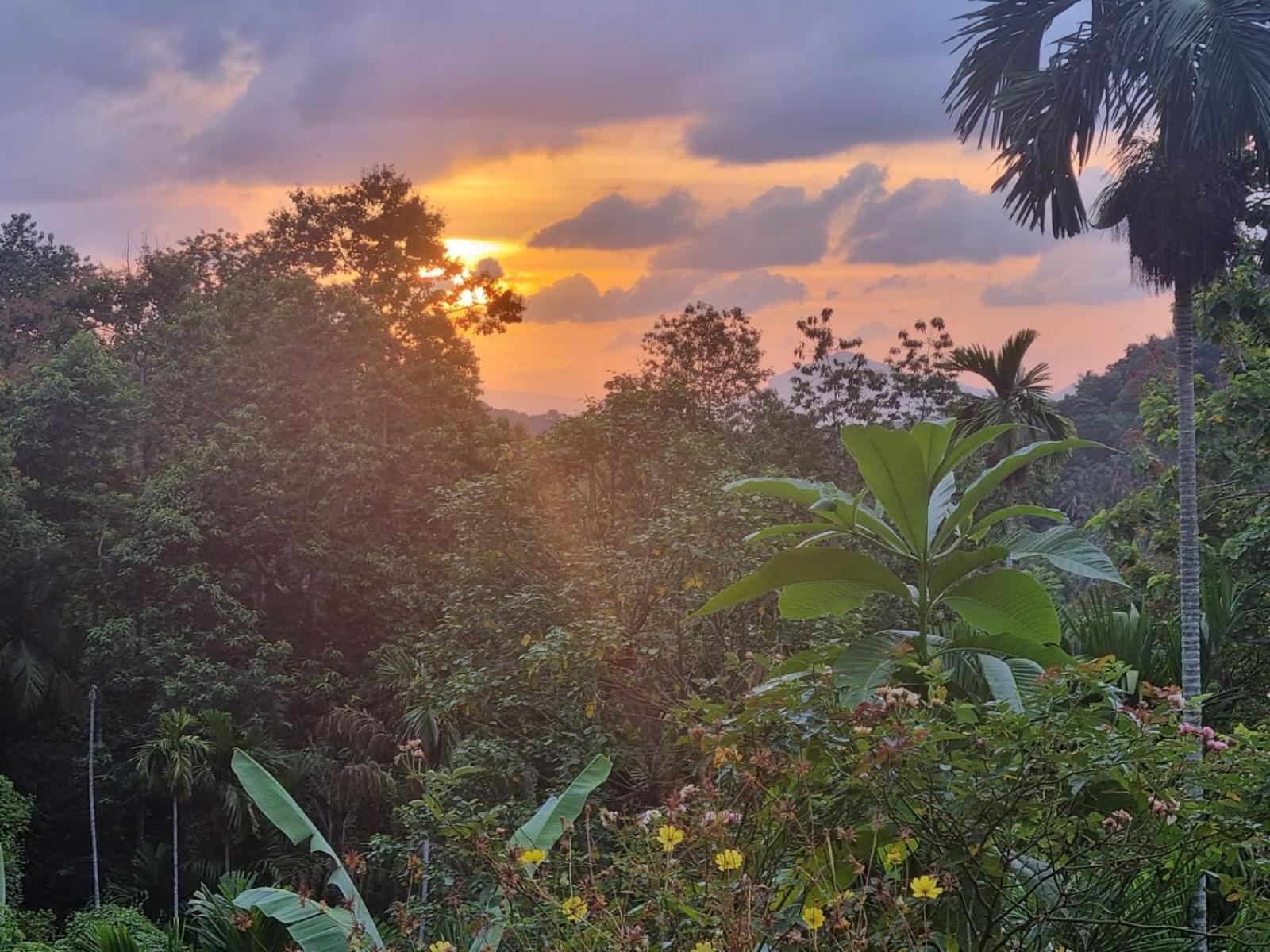 Silver Hill Ecovillage 库鲁内格勒 外观 照片