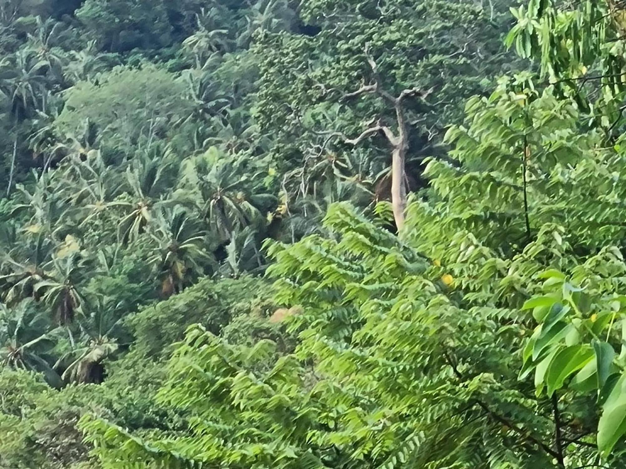 Silver Hill Ecovillage 库鲁内格勒 外观 照片