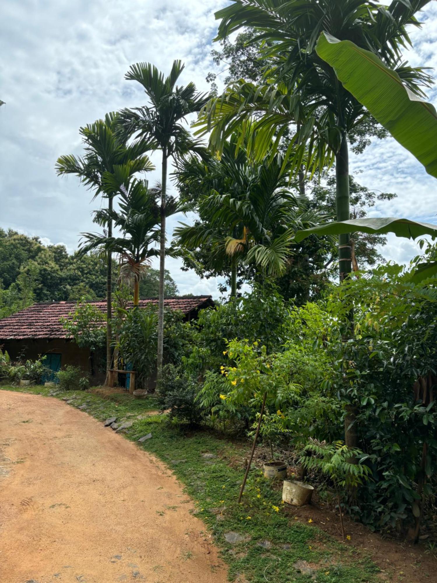 Silver Hill Ecovillage 库鲁内格勒 外观 照片