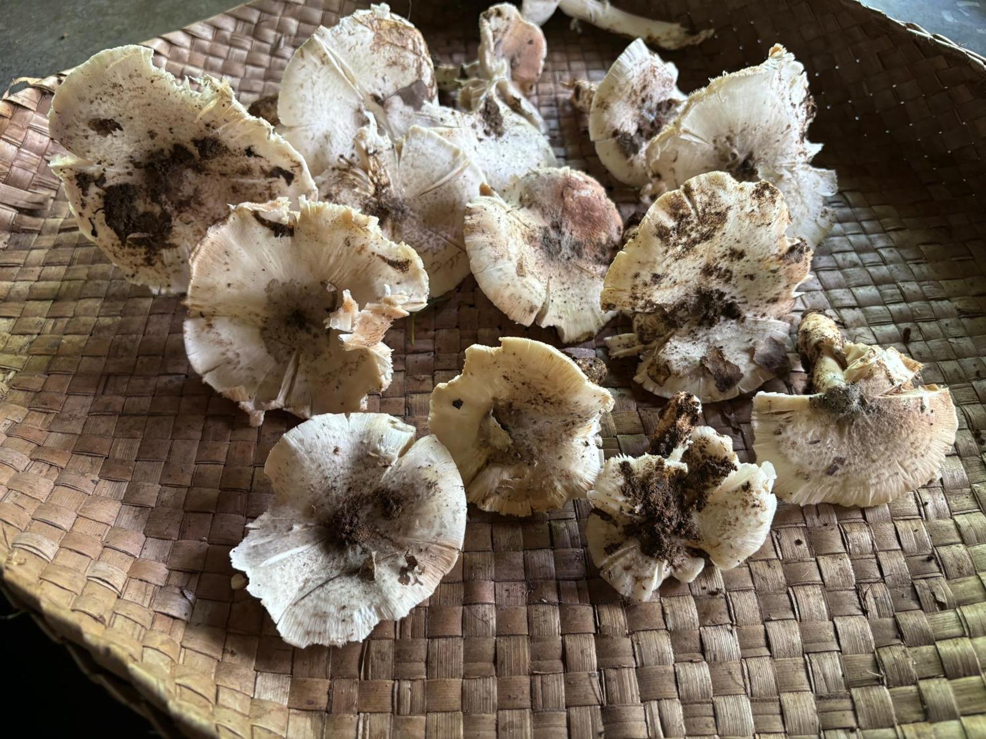 Silver Hill Ecovillage 库鲁内格勒 外观 照片